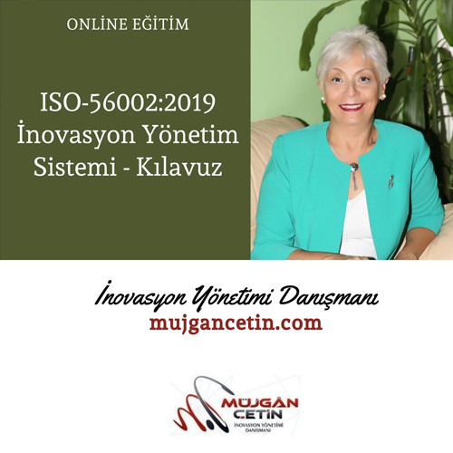 ISO-56002:2019 İnovasyon Yönetim Sistemi